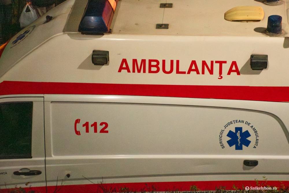 Medvetámadás történt Beszterce-Naszód megyében: egy férfi megsérült a lábán és a hátán
