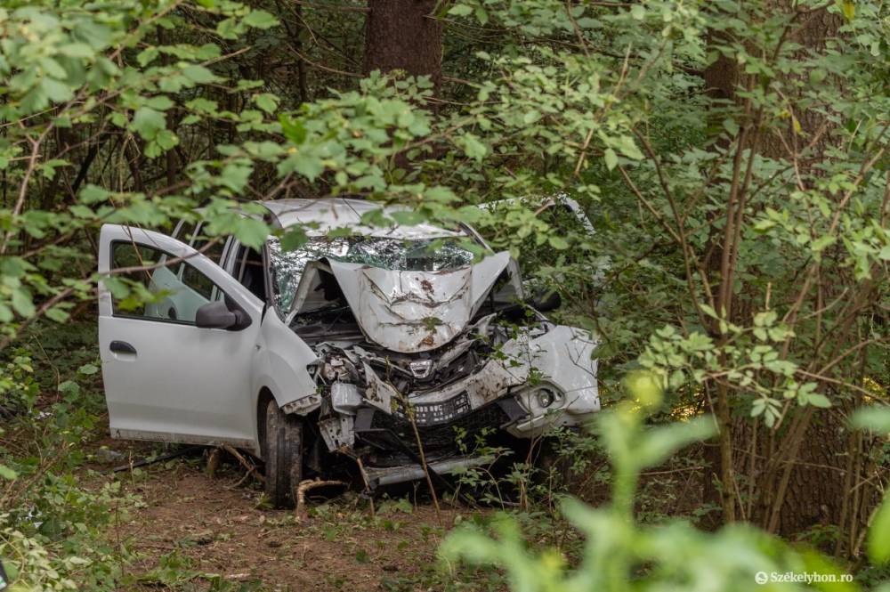 Elvesztette az uralmát a gépjármű felett a sofőr – ez okozta a nyergestetői halálos balesetet