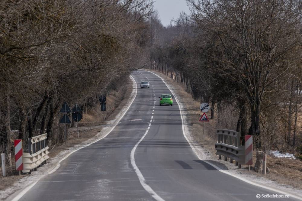 Fákat vágnak ki egy forgalmas székelyföldi útszakaszon