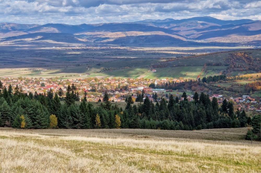 Közel 2600 hektárnyi erdőt akar elvenni az állam az ozsdolaiaktól