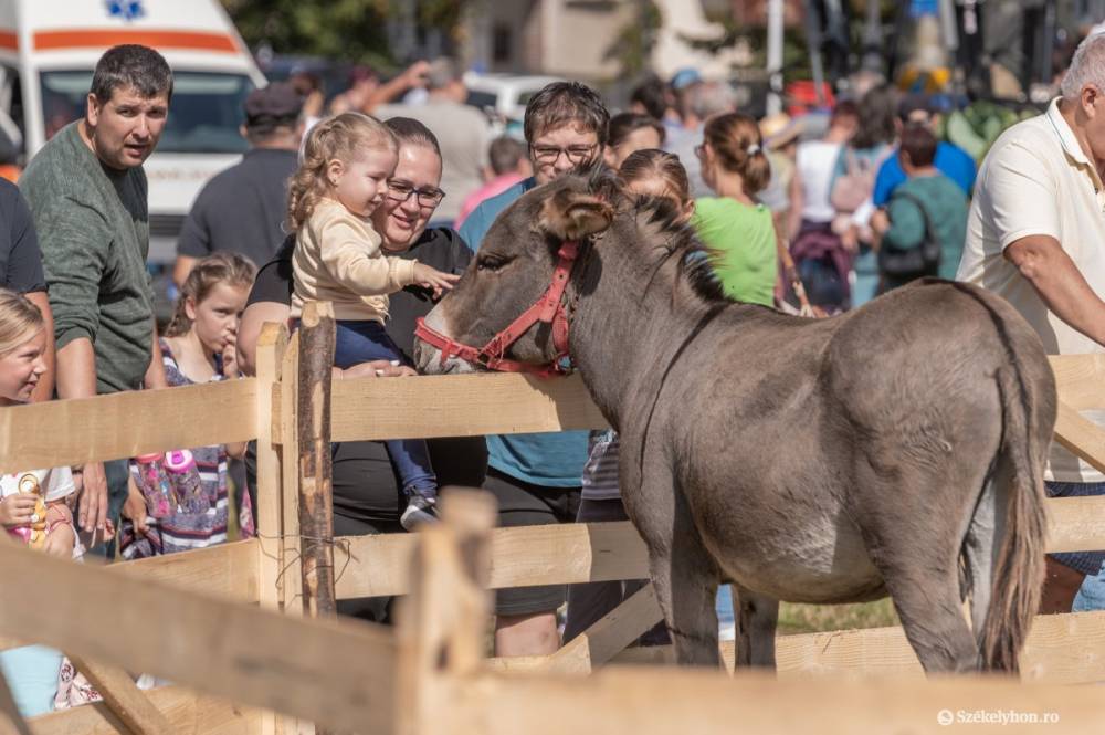 Tavaszra halasztották a Falu a városban következő kiadását