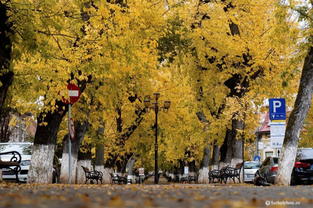 Szeptember megy, október jön: meg fogjuk érezni a hőmérsékletben