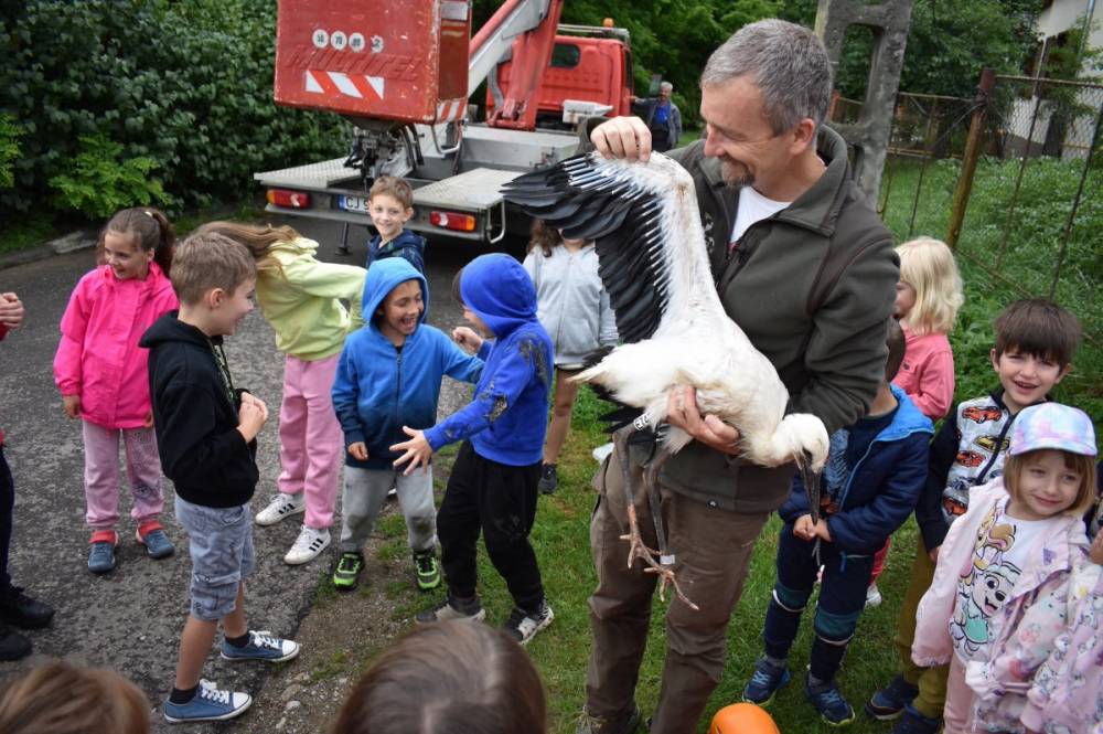 Sokba fájhat a szülőnek az iskolai Zöld hét