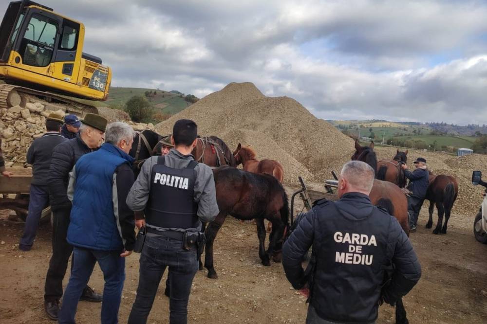 Engedély nélküli állatvásáron bírságoltak a hatóságok Háromszéken