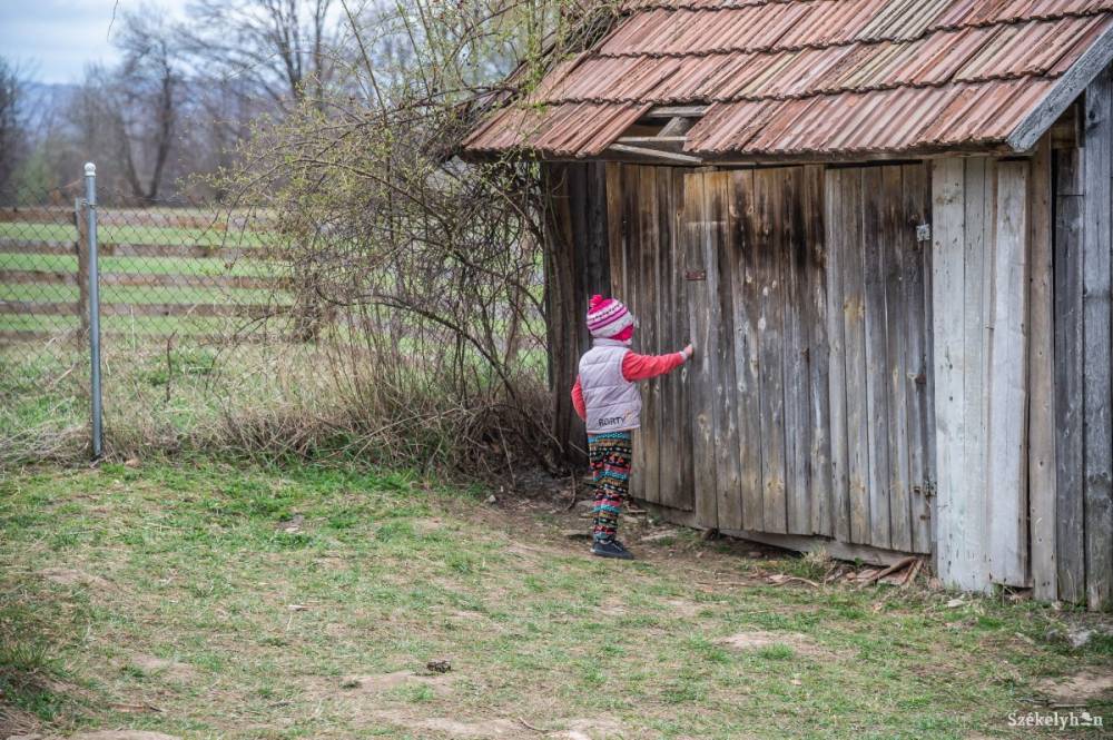 Felszámolná az iskolai kerti vécéket a kormány