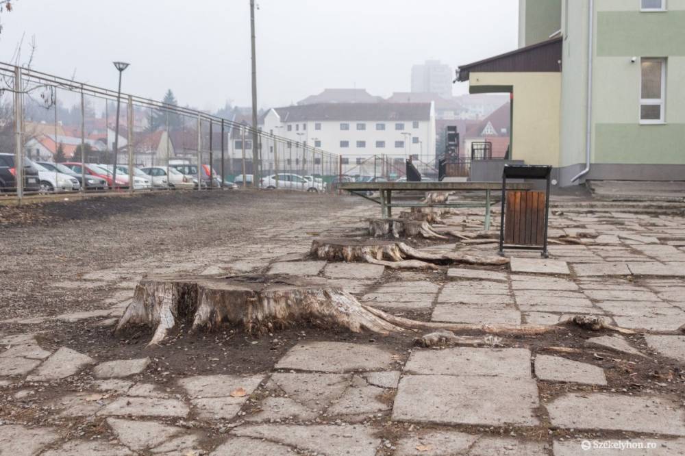 Hatmillió lejes hírt kaptak Csíkszereda legnagyobb általános iskolájának tanulói