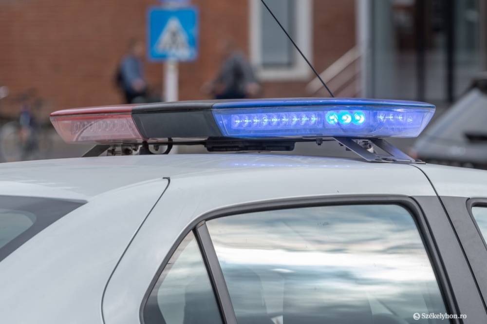 Megsérült egy autós, miután elütött egy felügyelet nélkül hagyott lovat
