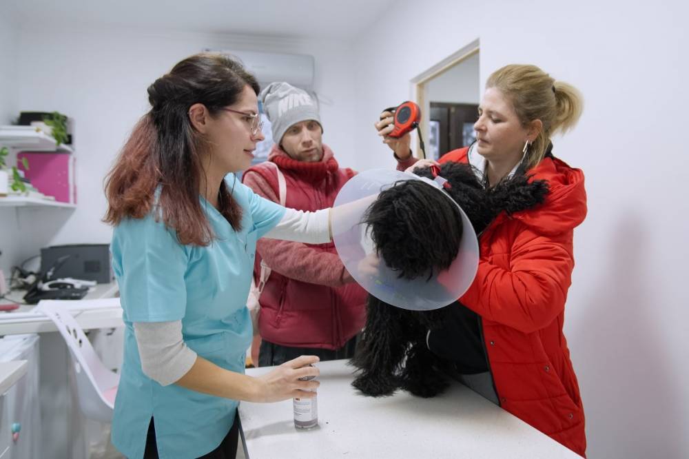 Szívvel-lélekkel dolgoznak azokért az állatokért is, amelyeket mások cserben hagytak