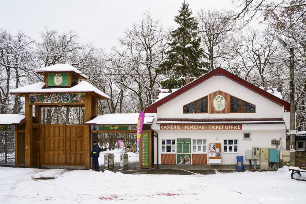 Az eddiginél tovább tart nyitva a vásárhelyi állatkert