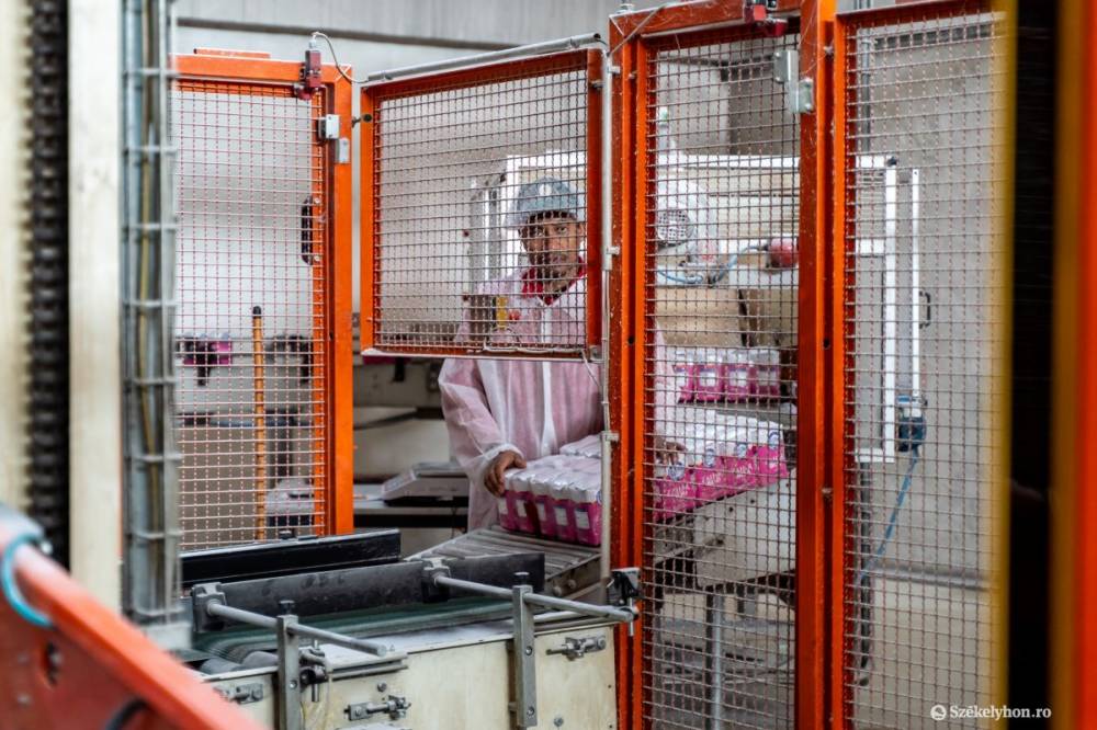 Olvad a cukormáz: vitatkoznak a gazdák és a ludasi cukorgyár vezetősége