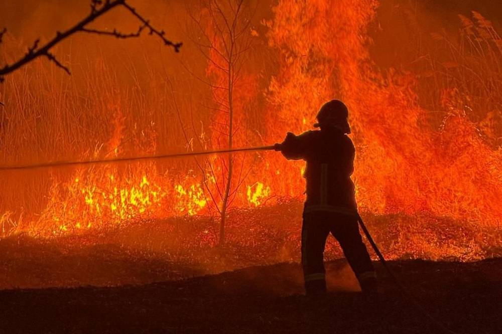 Magasra csaptak a lángok, több tűzfészek is kialakult