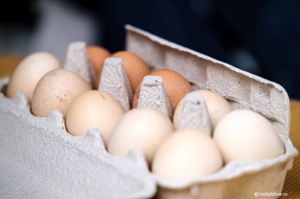 Húsvét előtti ellenőrzésdömping: csaknem 700 ezer tojást foglaltak le