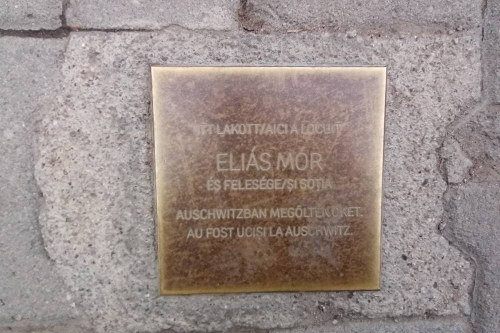 Még a kövekbe is beleköt a hivatásos provokátor