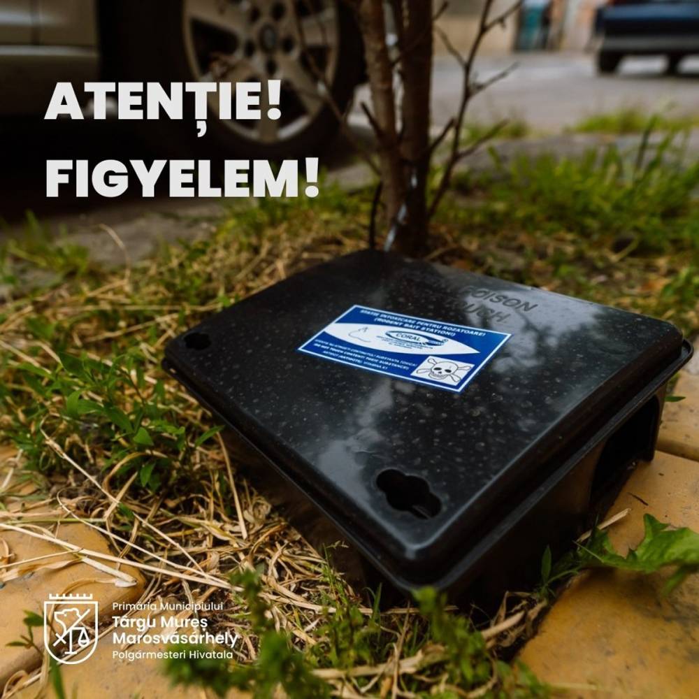 Figyelem, kártevő- és rovarirtás következik Marosvásárhelyen!