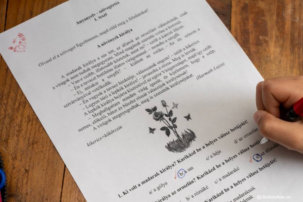 Nem ettől a teszttől függ az elemisek jövője, de támpontot nyújt a pedagógusoknak