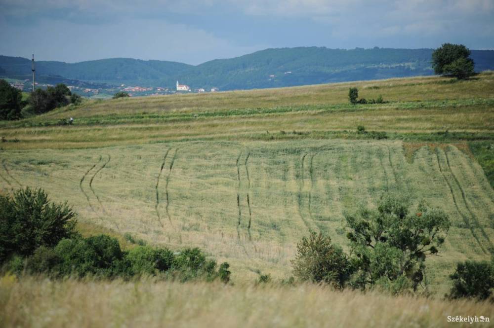 Mezőgazdasági támogatásigénylések: nagyjából tartották az eredeti határidőt