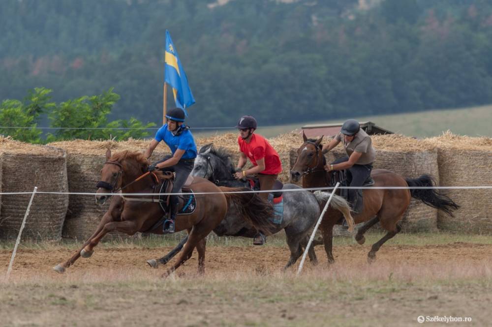 Székely Vágta: idén telivérek is vágtáznak a Óriáspince-tetőn