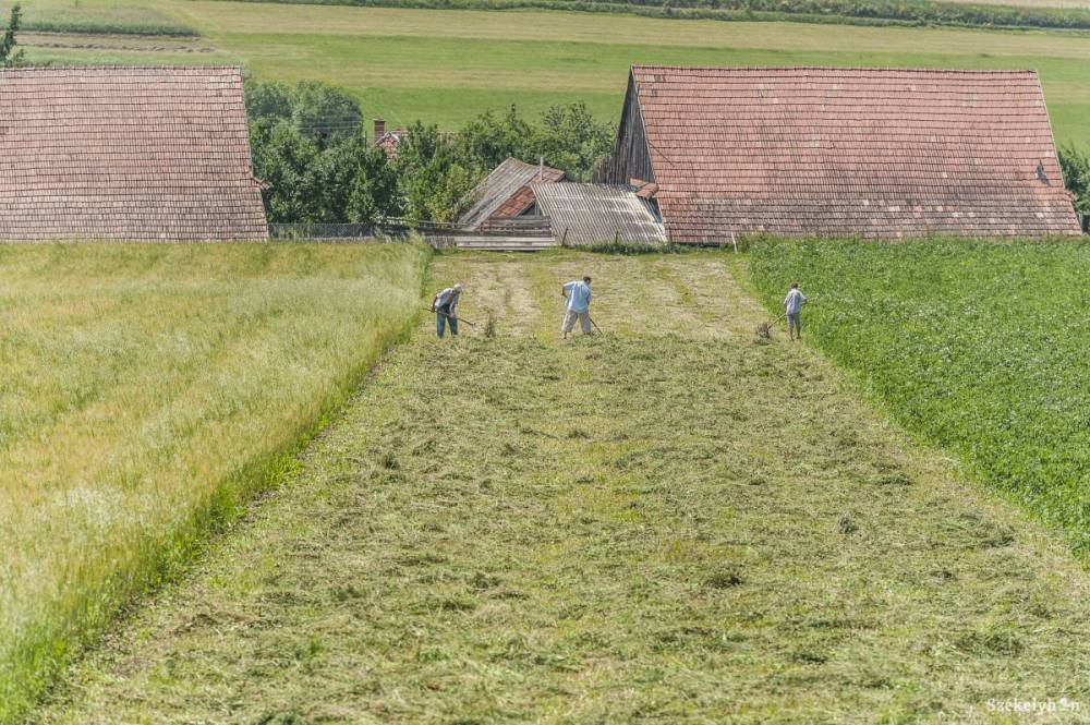 Több földet követelnének meg a támogatást igénylő gazdáktól