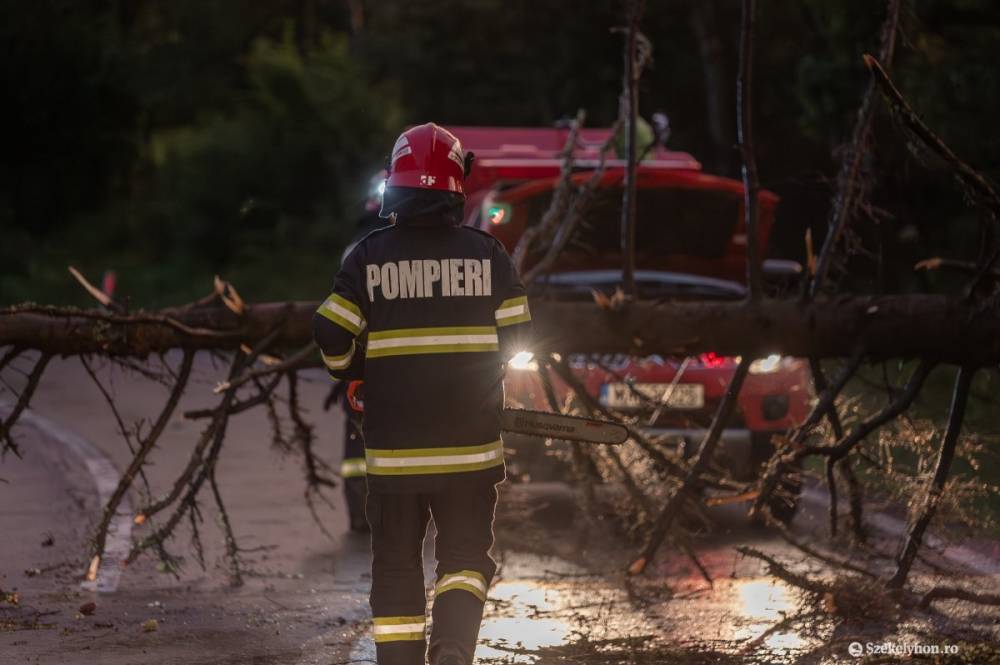 Kidőlt fa torlaszolta el az országutat a Bucsin-tetőnél