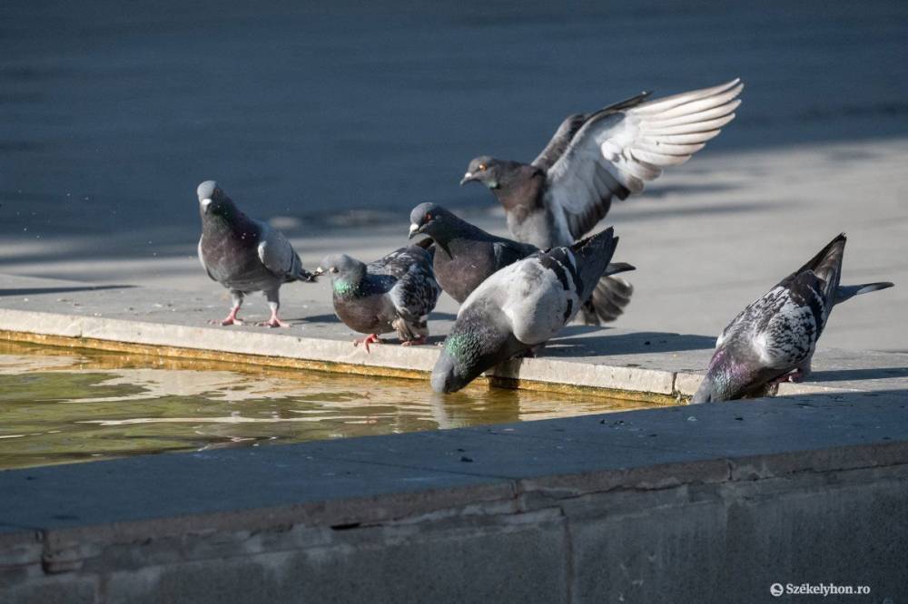 Az év egyik legmelegebb napján vagyunk túl, Magyarországon a napi melegrekord is megdőlt
