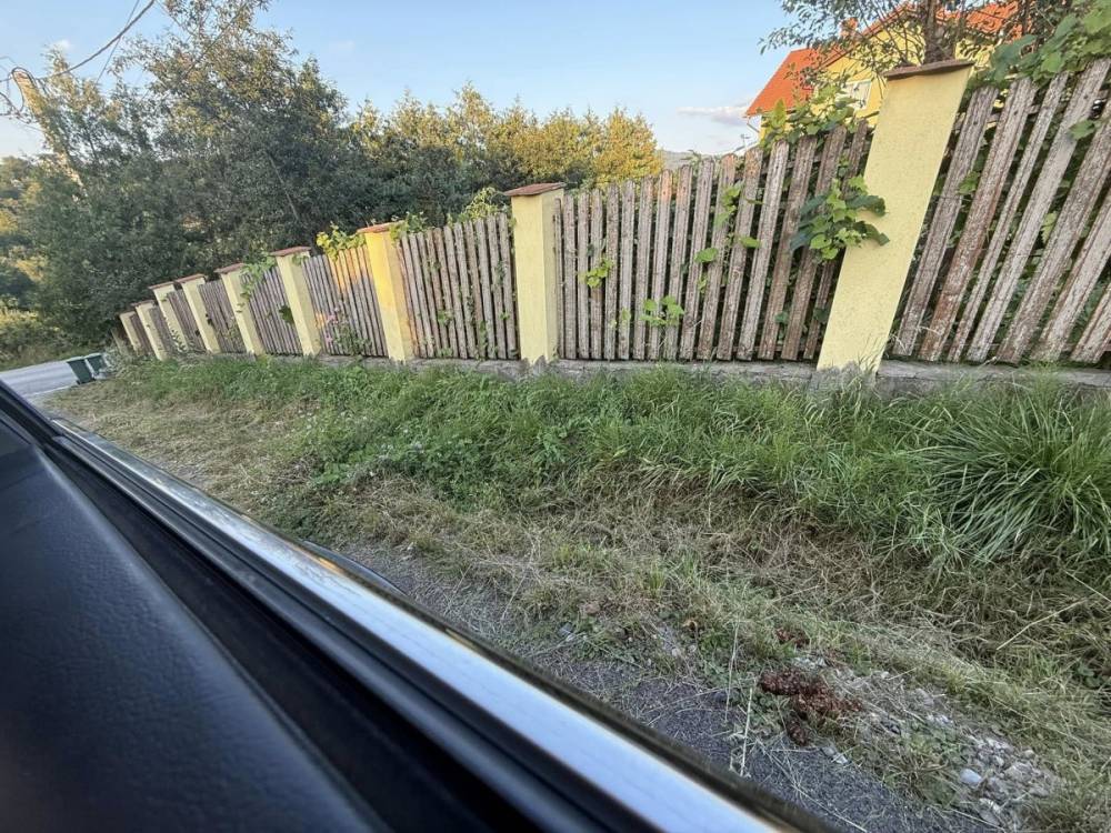 Nincs nyugtuk a székelyudvarhelyi Rózsa utca lakóinak a városba bejáró medvétől