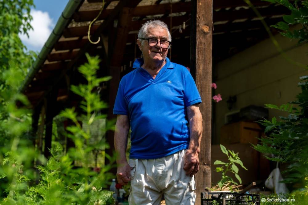 Egynyári üröm: a jeddi állatorvos küldetése, hogy megismertesse a „csodanövényt”