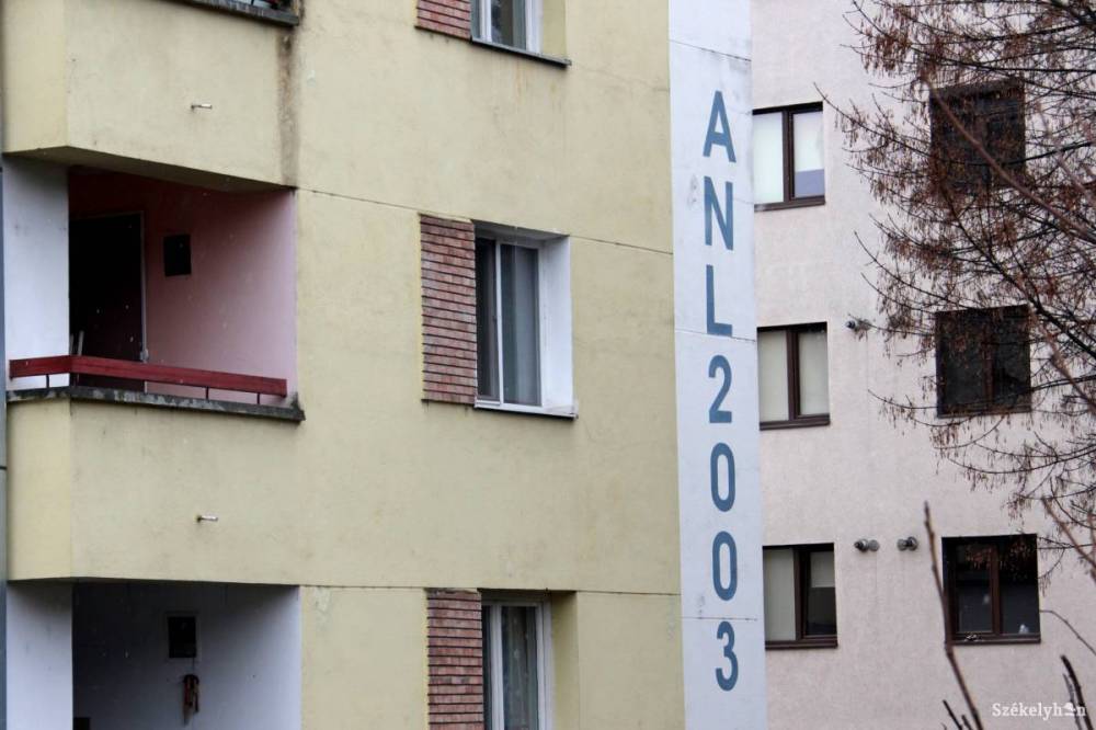 Két bérlakásra csaknem kétszázan