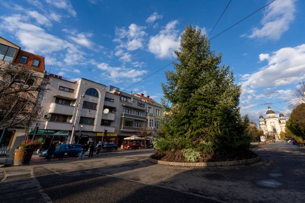 Gyönyörű fenyőfa jelzi Marosvásárhelyen, hogy hamarosan kezdődik az advent