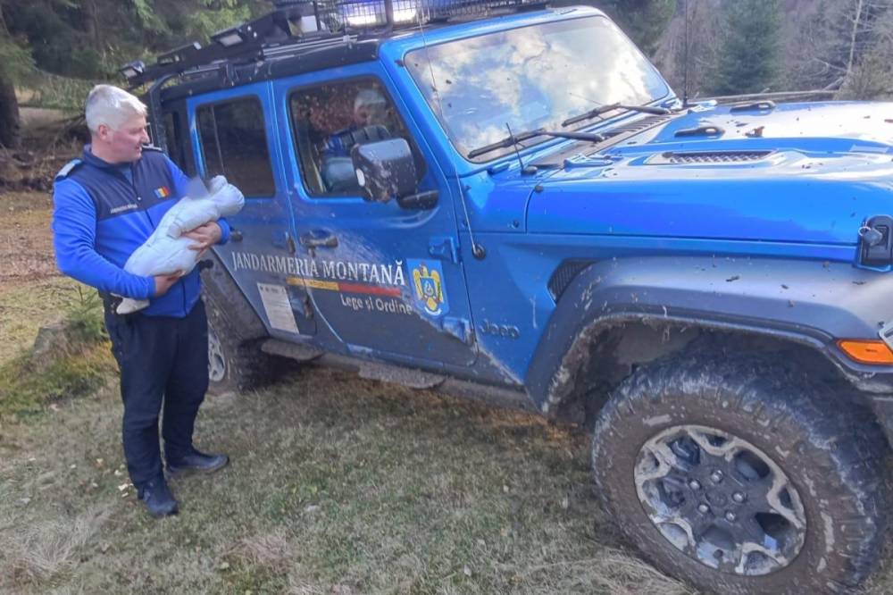 Mentek a navigációs alkalmazás után, amíg elakadtak – térerő nélkül, sötétedés előtt, kisbabával