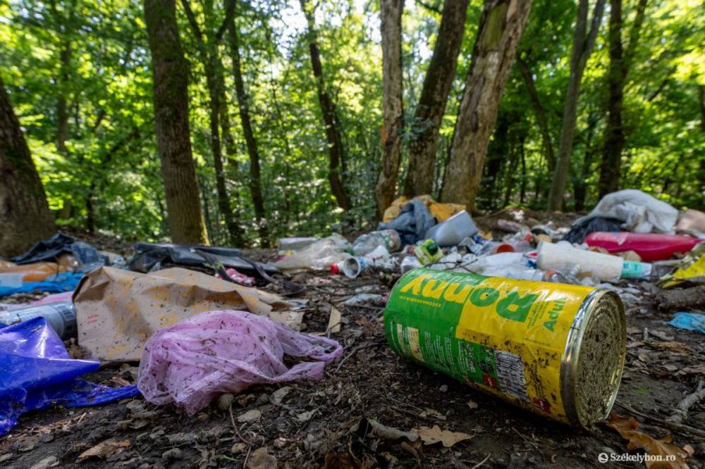Bekeményítettek: harmincezer lejes bírság a szemetelőknek
