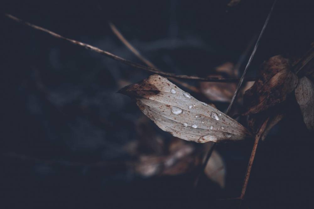 Lehűlés, csapadék, erős szél: inkább bekuckózásra csábít a következő napok időjárása, mint túrázásra
