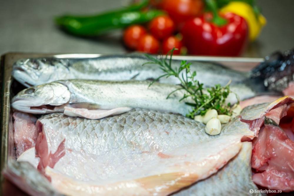 Több halat kellene ennünk – és nem csak divatból