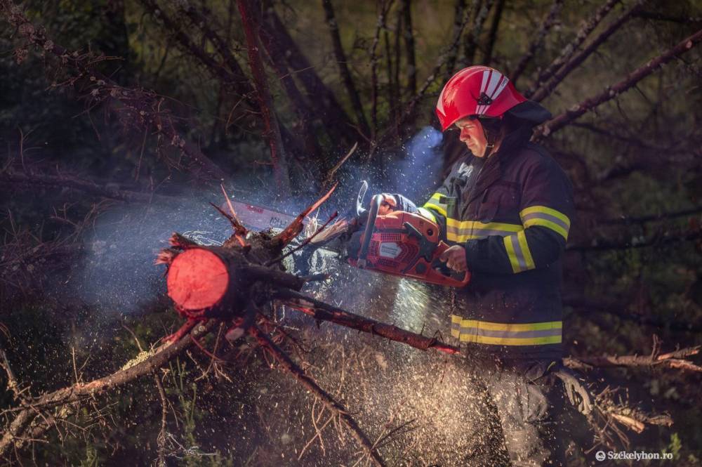 Autóra zuhant egy fa Marosvásárhelyen