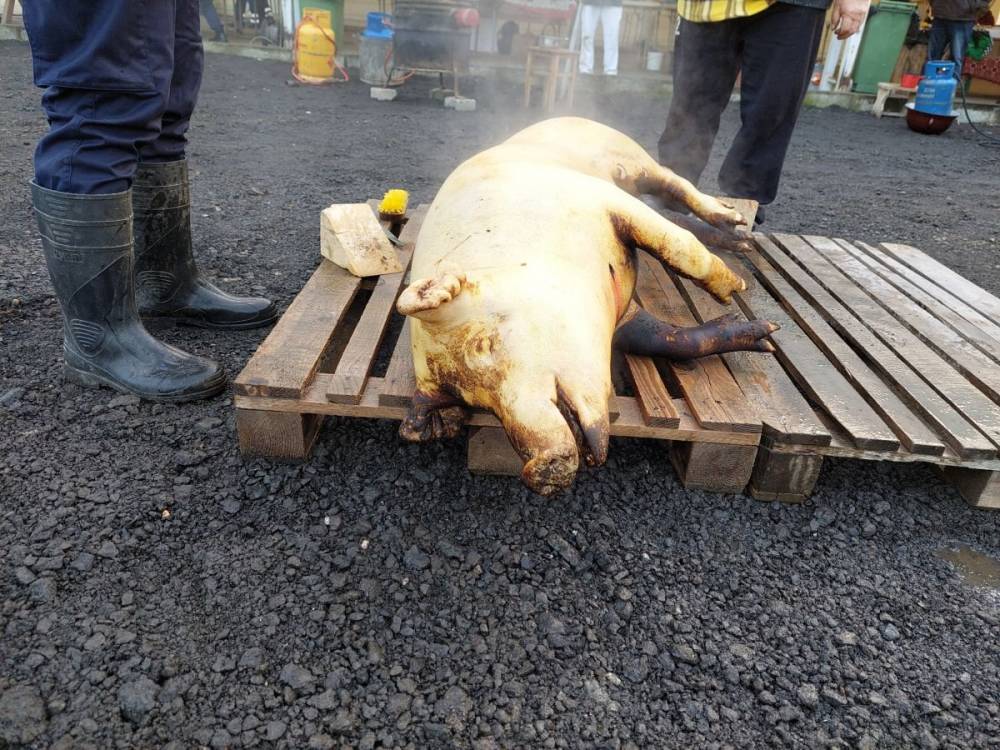 Disznóvágási szokások, amelyek az összetartozás érzését erősítik