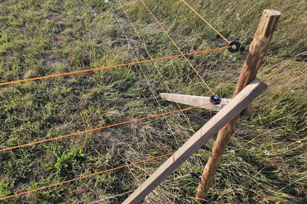 Elektromos kerítéseket finanszíroz a környezetvédelem a vadak ellen