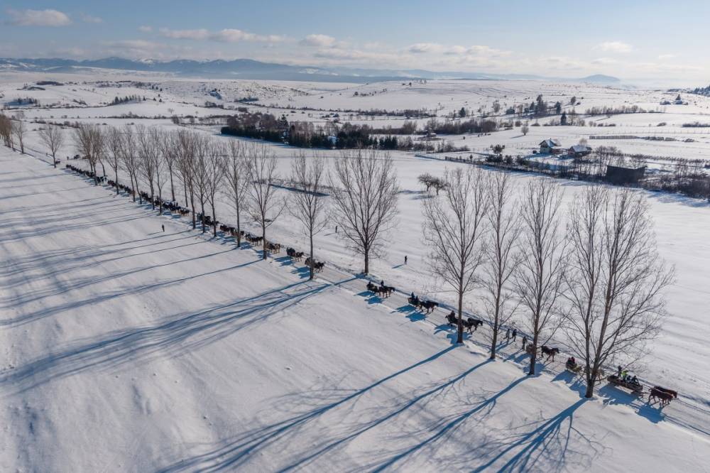 Végeláthatatlan sorban a lovasszánok: új hagyományt teremtettek Felcsíkon – videó