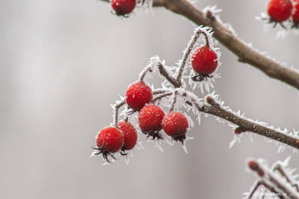 Jelentős hőmérséklet-ingadozás várható februárban
