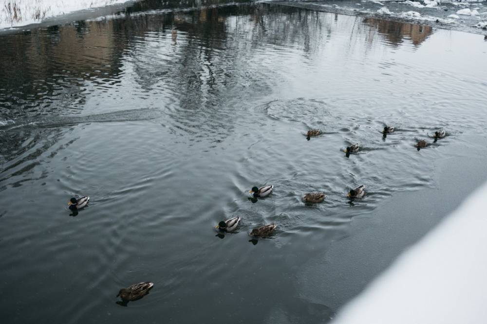 Felmelegedés után újabb lehűlés – ezt tartogatja február első felének időjárása