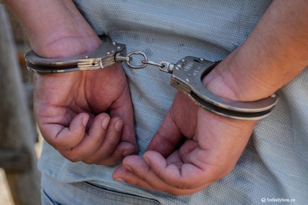 Életfogytiglan a várandós élettársát fejszével meggyilkoló férfinak