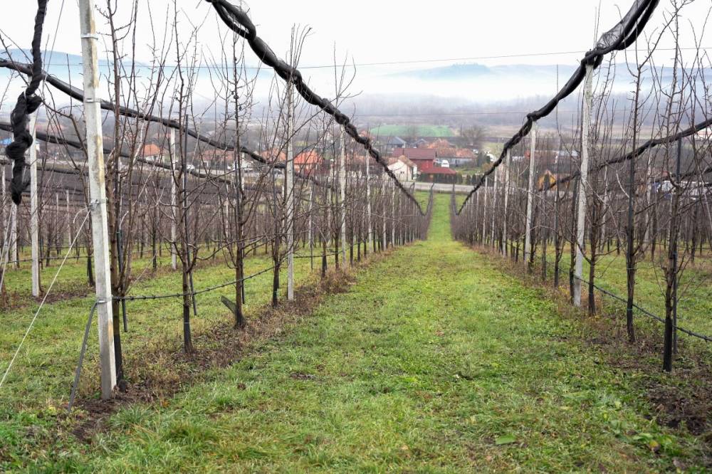 Agrármeteorológiai előrejelzés: kedvező a helyzet a földeken, de jönnek a fagyos éjszakák