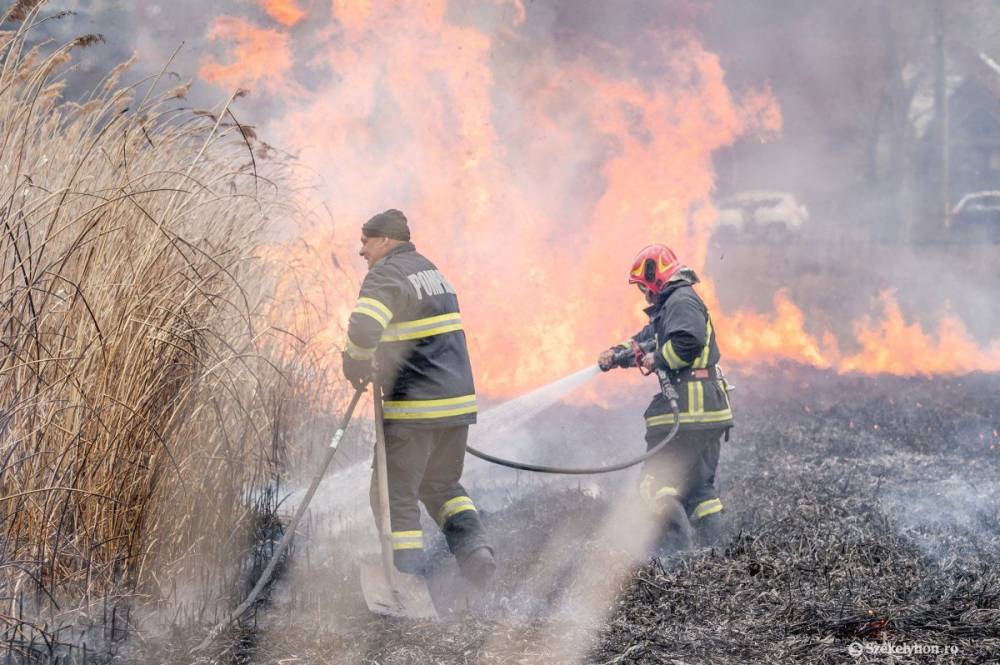 Nem lehet elégszer hangsúlyozni: a tavaszi tarlóégetés talajpusztítás és élőhelyrombolás