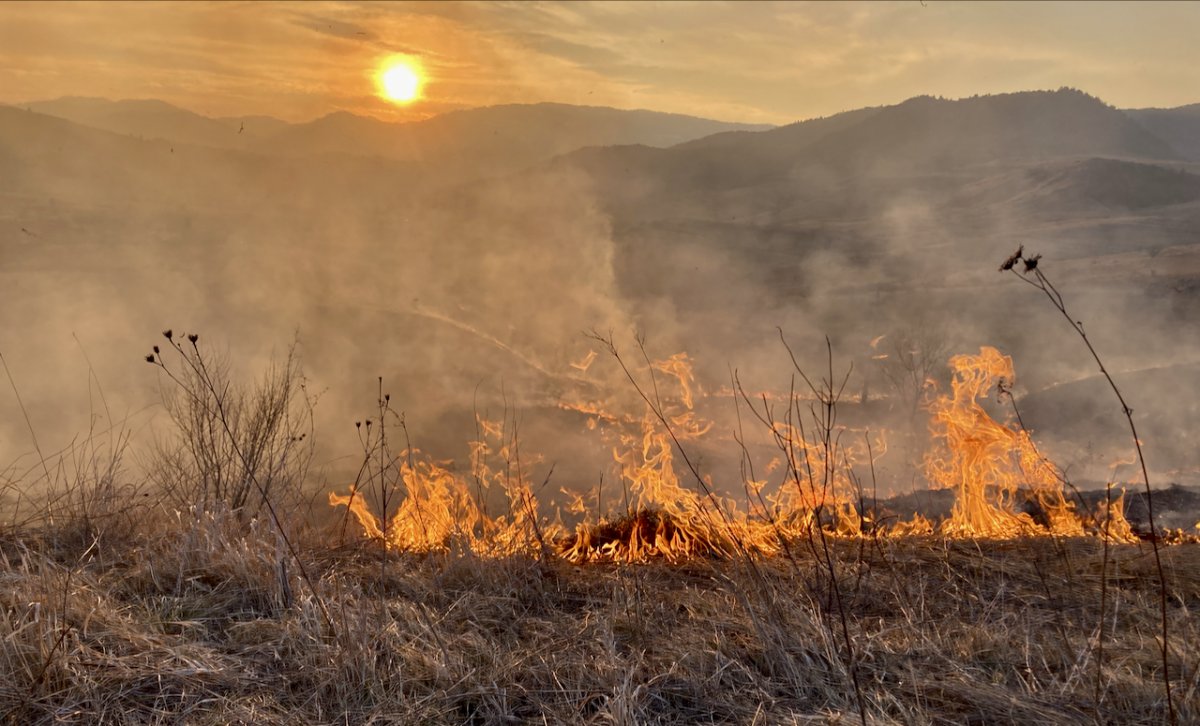 Veszélyesen gyorsan terjednek a tarlótüzek