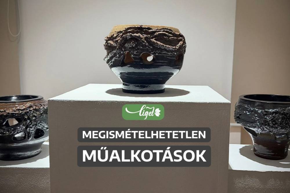 A művészi szabadság és a spontán formálódó esztétikum egyesül Máthé Lóránt-Pál alkotásaiban – videó