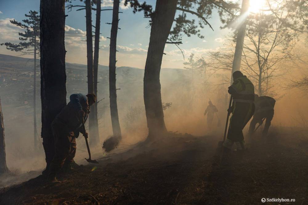 Tarlóégetés: nehezen vonhatók felelősségre a védett területek felgyújtói