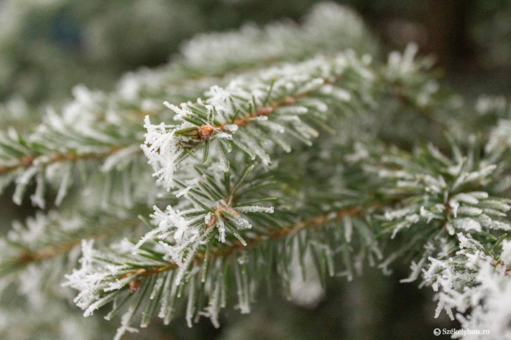 Fagykoszorúban Erdély március 15. reggelén