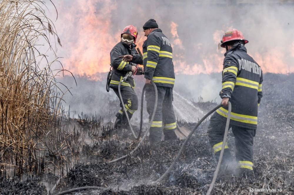 Hatvan hektár égett le a hétvégi tarlótüzekben Maros megyében
