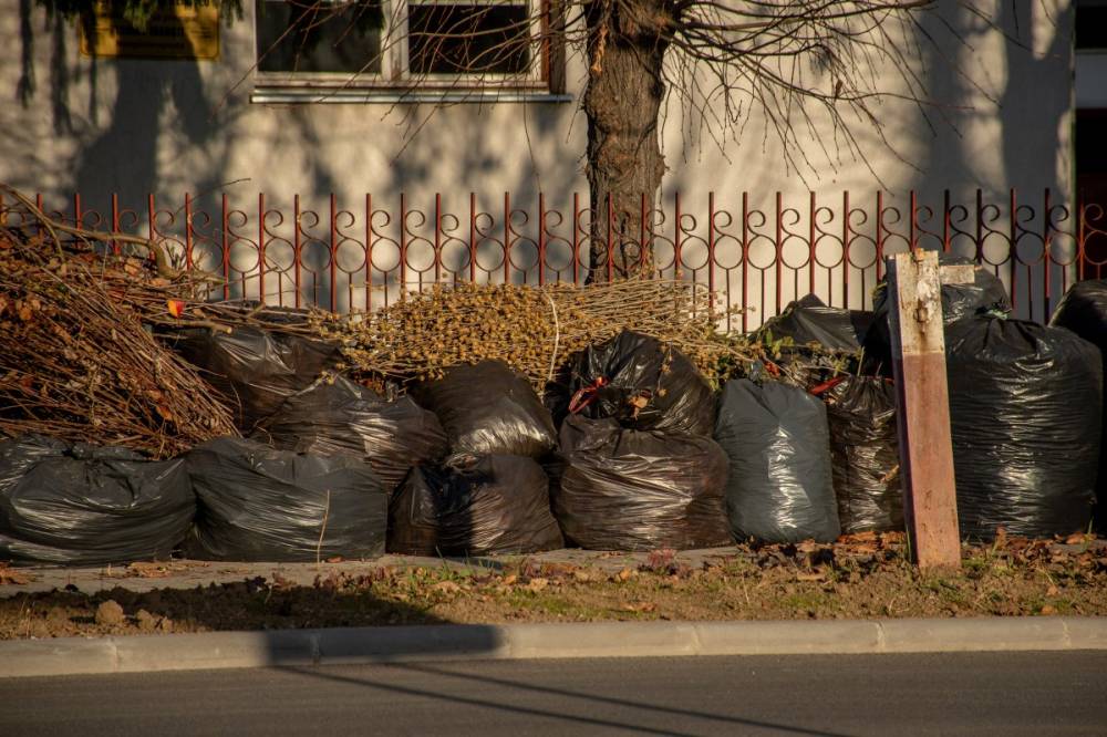 Hozzálátnak a tavaszi lombtalanításhoz, gyűjtik a zöldhulladékot Székelyudvarhelyen