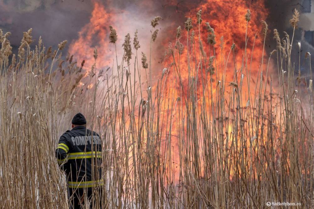 Lángol az aljnövényzet a Maros megyei Székes közelében