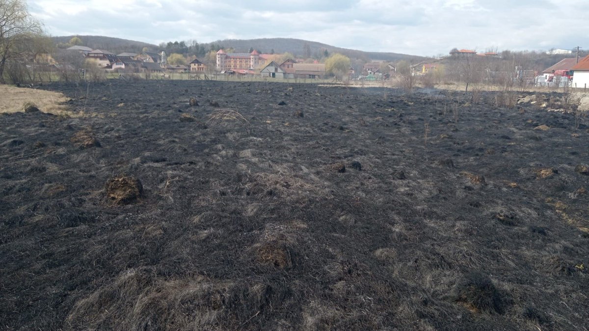 Ég a növényzet Szászrégen közelében – lakóövezetet fenyegetnek a lángok