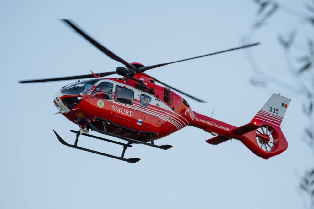 Medve támadott meg egy férfit Maros megyében